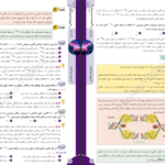 دانلود فایل کتاب عبارت های کلیدی زیست کنکور PDF