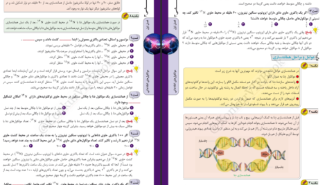 دانلود فایل کتاب عبارت های کلیدی زیست کنکور PDF