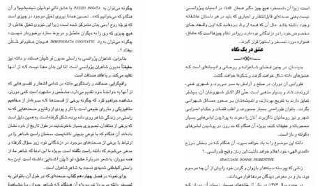 دانلود فایل کتاب زندگانی نو دانته آلیگیری PDF