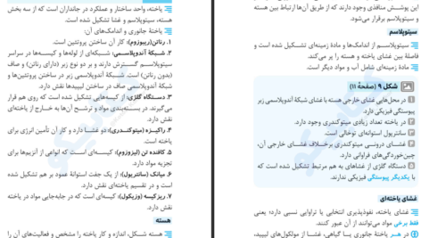 دانلود فایل کتاب عبارت های کلیدی زیست کنکور PDF