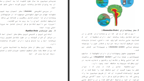 دانلود فایل کتاب سرشت بشری ذبیح مدرسی PDF