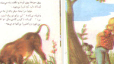 دانلود فایل کتاب سوفیا و سورچانی در بیرون از شهر PDF