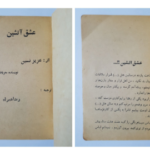 دانلود فایل کتاب عشق آتشین عزیز نسین PDF