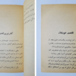 دانلود فایل کتاب عشق آتشین عزیز نسین PDF