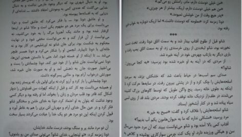 دانلود فایل کتاب گرگ در سایه دیوید گمل PDF