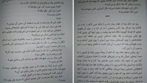 دانلود فایل کتاب گرگ در سایه دیوید گمل PDF