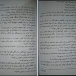 دانلود فایل کتاب گرگ در سایه دیوید گمل PDF