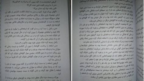 دانلود فایل کتاب گرگ در سایه دیوید گمل PDF