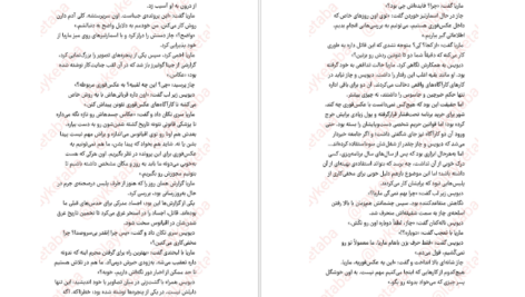 دانلود فایل کتاب عکس فوری برندون سندرسون PDF