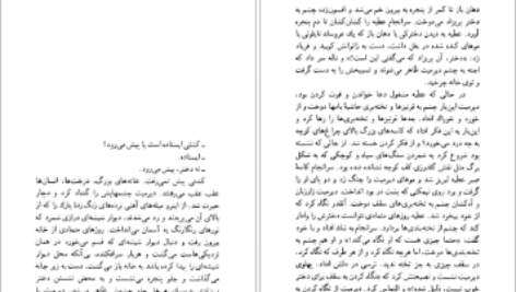 دانلود فایل کتاب مرگ عزیز بیعار لطیفه تکین PDF