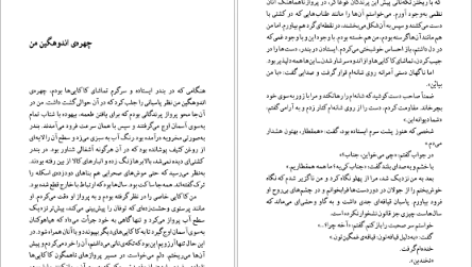 دانلود فایل کتاب تا زمانی که هاینریش بل PDF