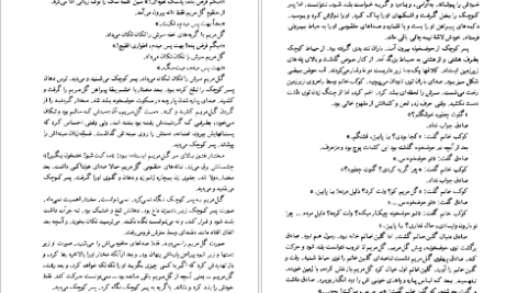 دانلود فایل کتاب دل کور اسماعیل فصیح PDF