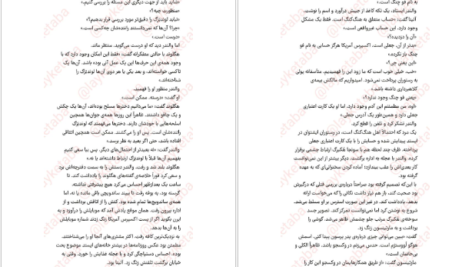 دانلود فایل کتاب دیوار آتش هنینگ مانکل PDF