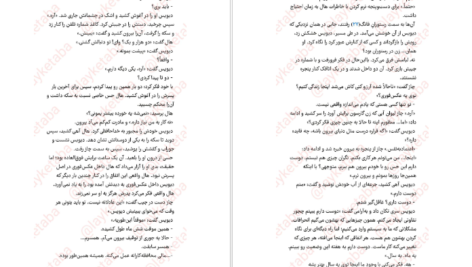 دانلود فایل کتاب عکس فوری برندون سندرسون PDF