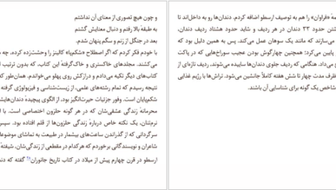 دانلود فایل کتاب صدای غذا خوردن یک حلزون وحشی الیزابت تووا بایلی PDF