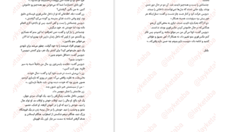 دانلود فایل کتاب عکس فوری برندون سندرسون PDF