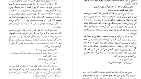دانلود فایل کتاب دل فولاد منیرو روانی پور PDF