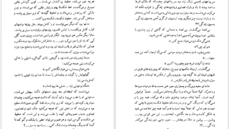 دانلود فایل کتاب سنگ‌های شیطان منیرو روانی‌پور PDF