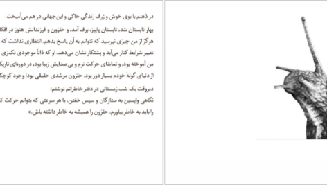 دانلود فایل کتاب صدای غذا خوردن یک حلزون وحشی الیزابت تووا بایلی PDF