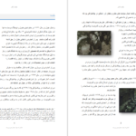 دانلود فایل کتاب قدرت بی‌ قدرتان واسلاو هاول PDF