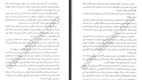 دانلود فایل کتاب مهمان مری داونینگ هان PDF