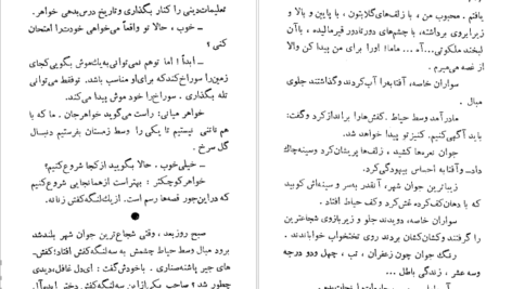 دانلود فایل کتاب در سرزمین کوچک من نادر ابراهیمی PDF