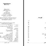 دانلود فایل کتاب سرشت و سرنوشت سینمای کیشلوفسکی مونیکا مورر PDF