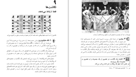 دانلود فایل کتاب آچار ریاضی ریچارد کاکرن PDF