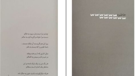 دانلود فایل کتاب اقلیت فاضل نظری PDF