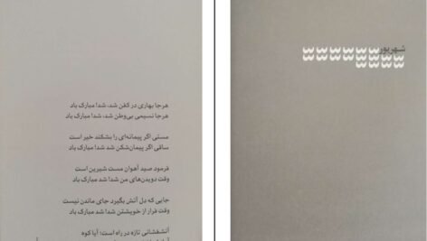 دانلود فایل کتاب اقلیت فاضل نظری PDF