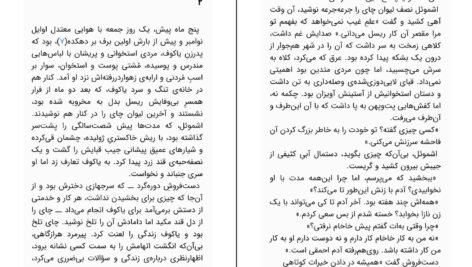دانلود فایل کتاب تعمیرکار برنارد مالامود pdf