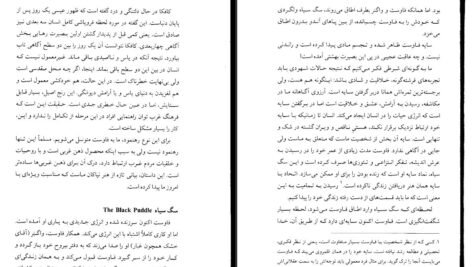 دانلود فایل کتاب تکامل آگاهی رابرت جانسون PDF