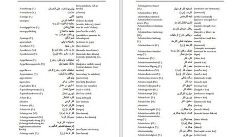 دانلود فایل کتاب فرهنگ آلمانی فارسی فیروز ابراهیم نسبت PDF