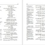 دانلود فایل کتاب فرهنگ آلمانی فارسی فیروز ابراهیم نسبت PDF