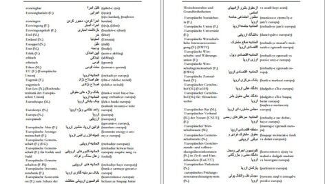 دانلود فایل کتاب فرهنگ آلمانی فارسی فیروز ابراهیم نسبت PDF