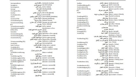 دانلود فایل کتاب فرهنگ آلمانی فارسی فیروز ابراهیم نسبت PDF