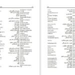 دانلود فایل کتاب فرهنگ آلمانی فارسی فیروز ابراهیم نسبت PDF