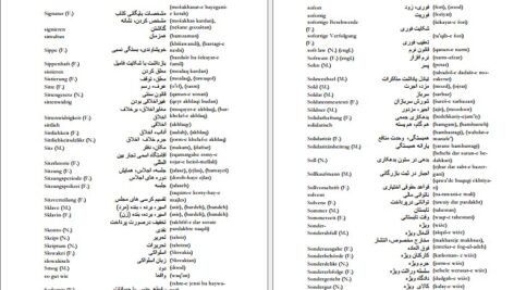 دانلود فایل کتاب فرهنگ آلمانی فارسی فیروز ابراهیم نسبت PDF