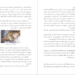 دانلود فایل کتاب پرورش زنبورعسل و کرم ابریشم گروه تحصیل کشاورزی PDF