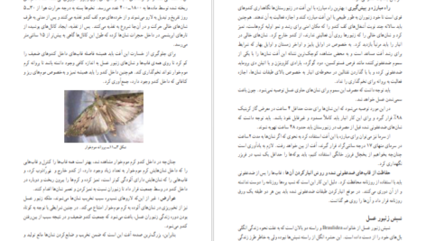 دانلود فایل کتاب پرورش زنبورعسل و کرم ابریشم گروه تحصیل کشاورزی PDF