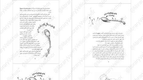 دانلود فایل کتاب زمانه‌ی جادو ۲ کرسیدا کاوئل PDF