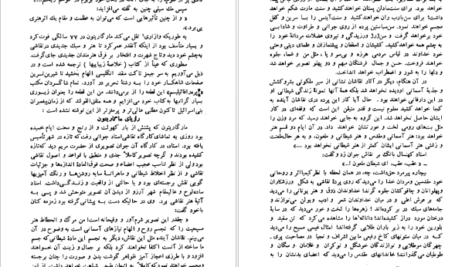 دانلود فایل کتاب جزیره پنگوئن ها آناتول فرانس PDF