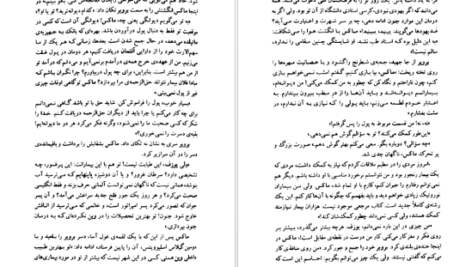 دانلود فایل کتاب وقتی نیچه گریست اروین یالوم PDF
