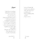 دانلود فایل کتاب شاعر ژولیده کاوه نادی حیدری PDF