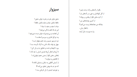 دانلود فایل کتاب شاعر ژولیده کاوه نادی حیدری PDF