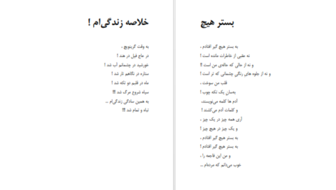 دانلود فایل کتاب شاعر ژولیده کاوه نادی حیدری PDF