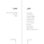 دانلود فایل کتاب شاعر ژولیده کاوه نادی حیدری PDF