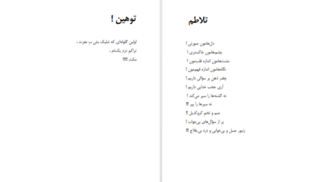 دانلود فایل کتاب شاعر ژولیده کاوه نادی حیدری PDF