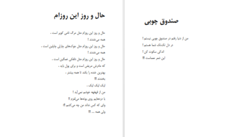 دانلود فایل کتاب شاعر ژولیده کاوه نادی حیدری PDF