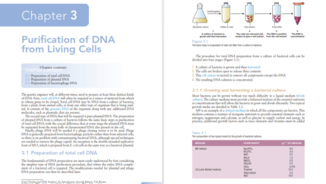 دانلود فایل کتاب PDF Gene Cloning And Dna Analysis Seventh Edition